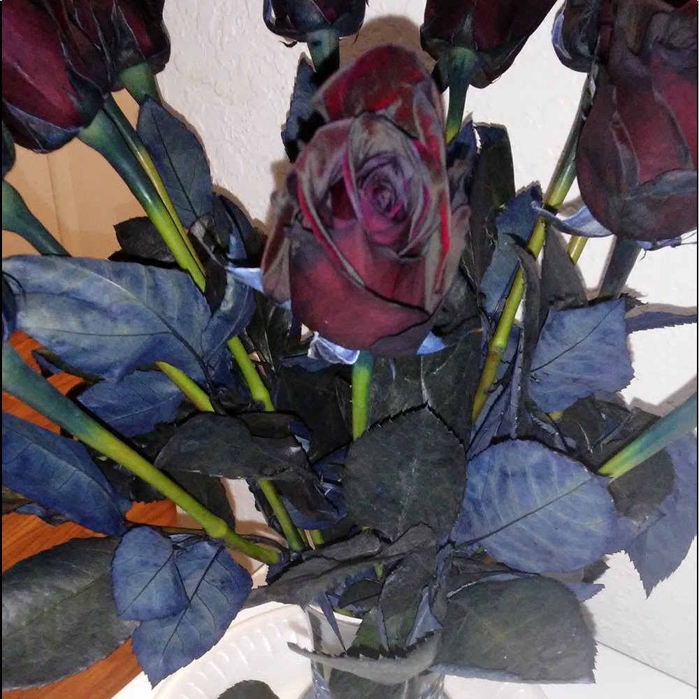 Meet your Posher, MYSTURI